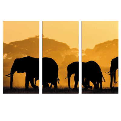 Elephants
