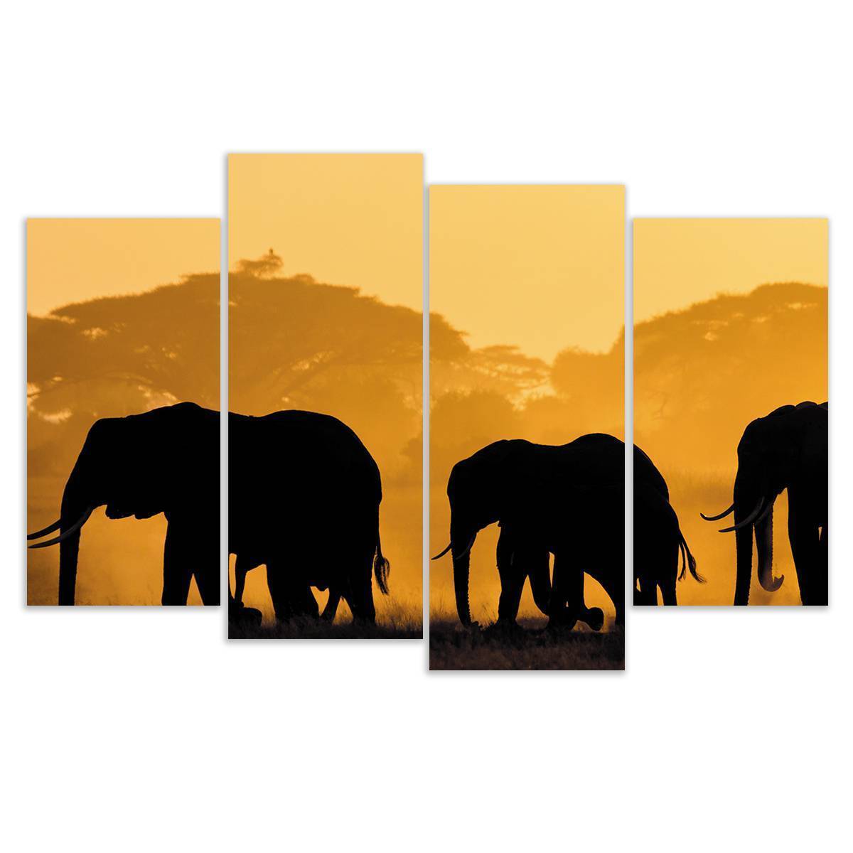 Elephants